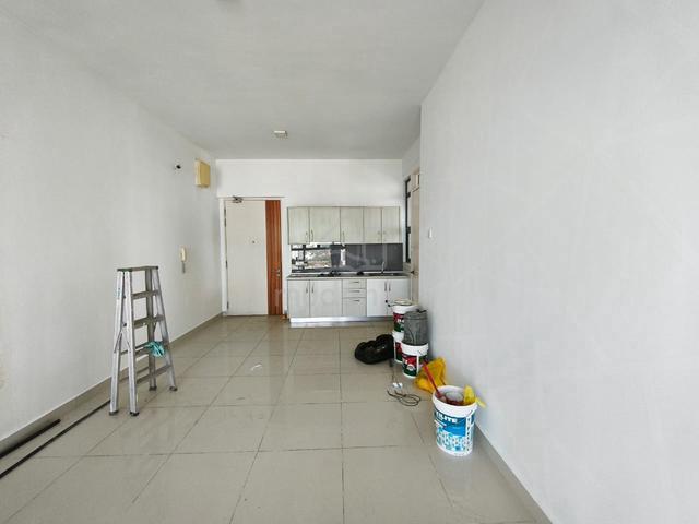 Shamelin Star 1