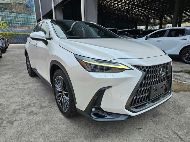 2023 Lexus NX250 2.5 P/Roof 4Cam BSM Unreg - 1
