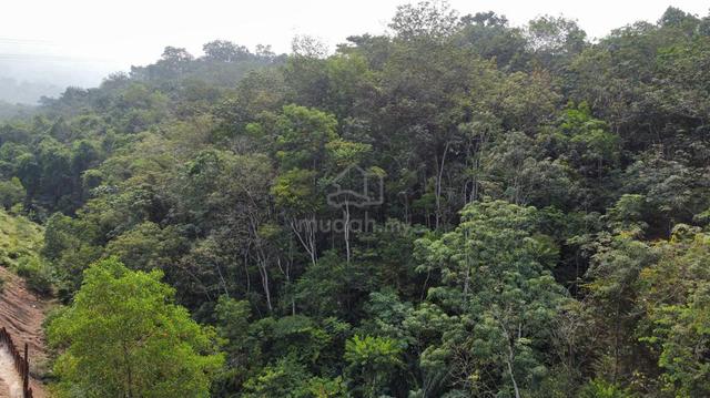 land for sale 1