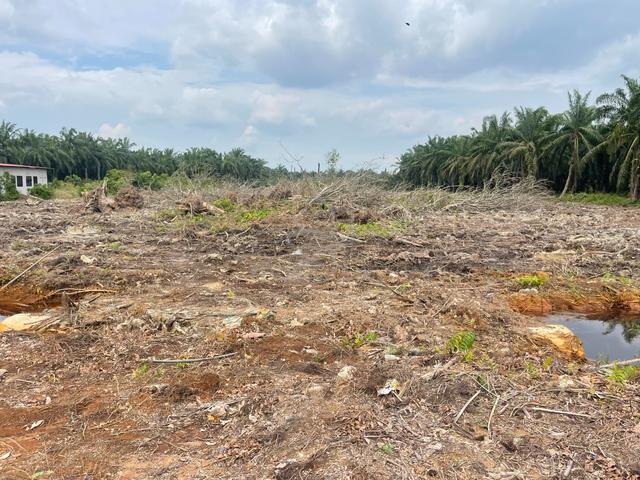Lot Murah di Jln Parit Baru Kg Bukit Hijau Utk di Jual Jeram Selangor 3