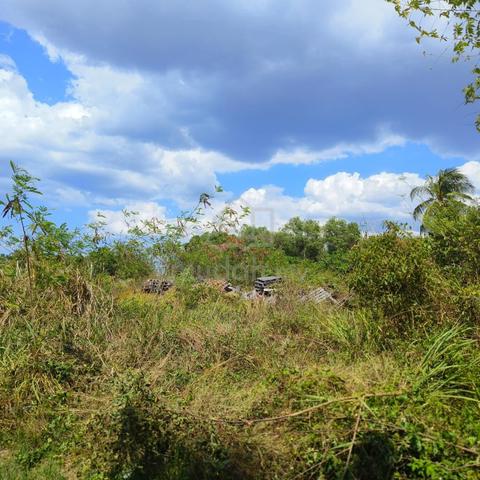 Sungai Jagong Agriculture Land For Sale 1