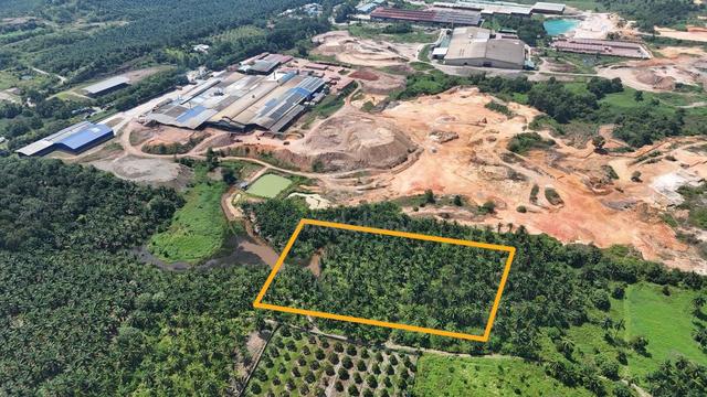 OIL PALM LAND FREEHOLD 5ac SEDENAK, KULAI [ZONING INDUSTRY] 1