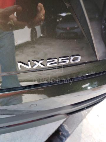 2023 Lexus NX250 2.5 BASE GRADE (A) - 5
