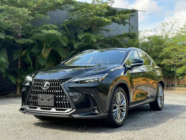 2022 Lexus NX 250 2.5 VERSION L 5A 5kKM NX250 - 5