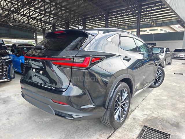2023 Lexus NX 250 BASE P/Roof 4Cam BlackLeather PB - 2