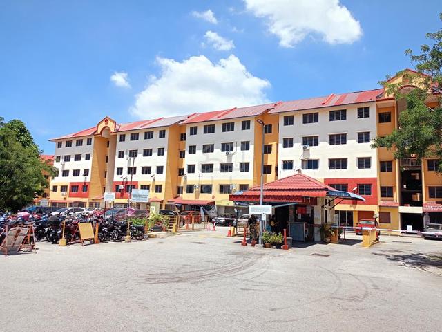 Pauh Damai 1