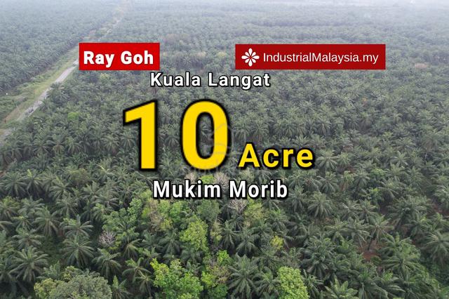Mukim Morib Banting, Kanchong Agriculture Land for Sale 1