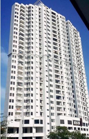 Palm Palladium 1