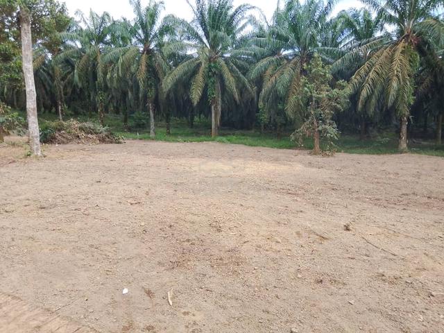 Tanah Bangunan Parit Semo  1