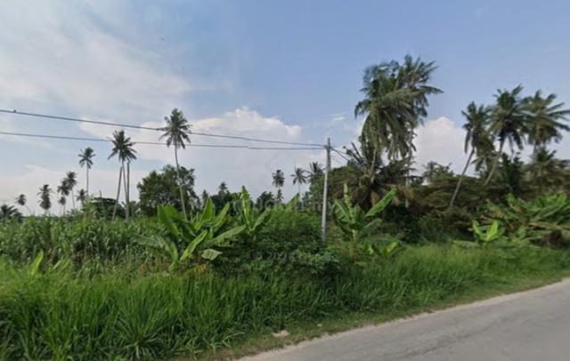 5.48 Acres Agriculture Land Kampung Perepat Jalan Kapar Klang 1