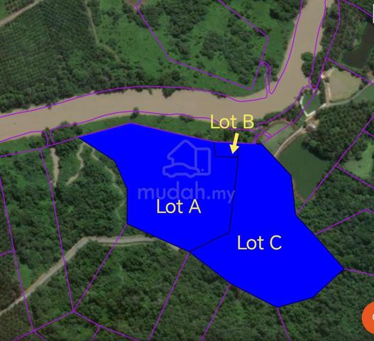 Land at 29th Mile for Sale – with fruit trees including durian trees 1