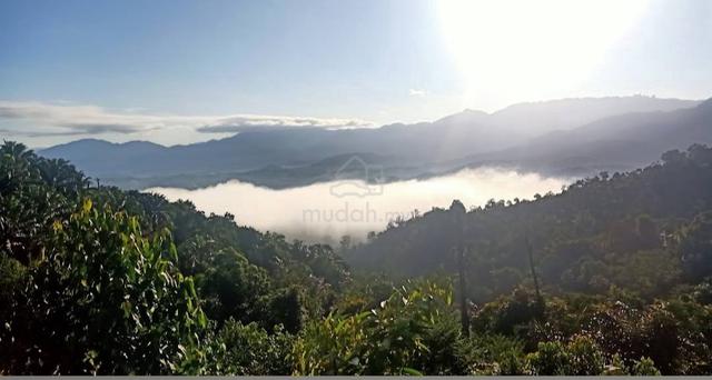 11 Acres Ekar Bentong Raub Atas Bukit Rumah Kebun Resort Durian farm 1