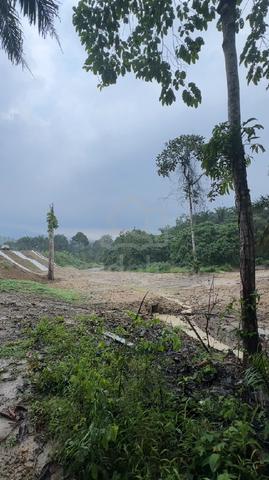 Tanah Pertanian Sungai Tamu Batang Kali Selangor 1