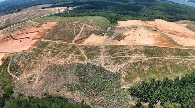Tanjung Langsat Industrial Land for Sale 1