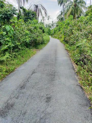 Agricutural in Permatang Pasir Balik Pulau Penang 1