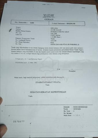 Land for sale 1