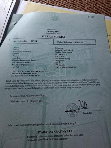 Kelantan Pasir Mas Residential Freehold Land For Sale 1