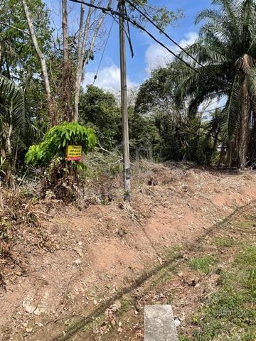 Land for rent, Parit Yaani, Yong Peng 1