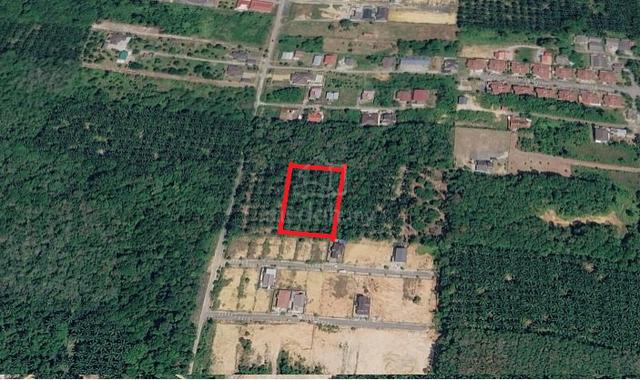 0.97 Ekar Tanah Pertanian Geran Individu Labu Lanjut Sepang FREEHOLD 1