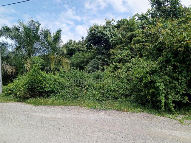 10 acre Agriculture Land Tampin Negeri Sembilan. Individual Title 5