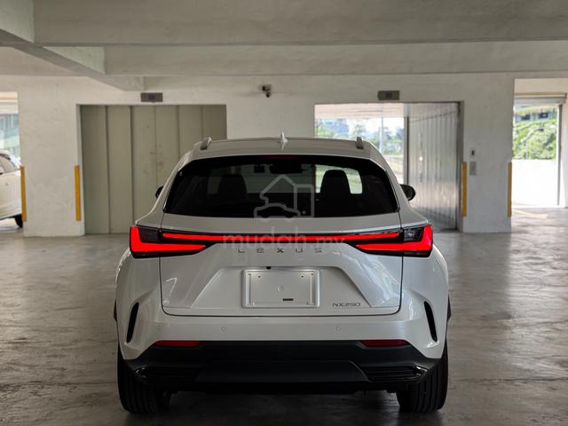 2023 Lexus NX 250 2.5 LUXURY (A) B&W INTERIOR - 3