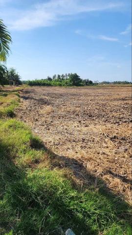Tanah 1.2 Ekar Bagan Tiang (Sempadan Penang/Perak) 1