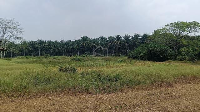 Land at Kg Seelong Jaya 1