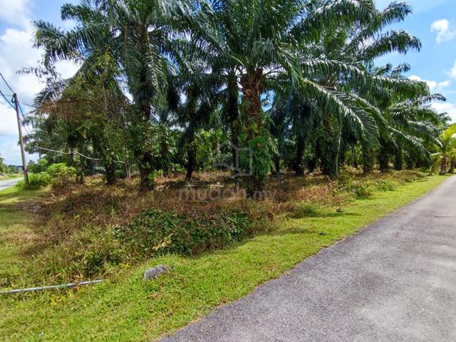 Paling Murah!!! Geran Individu, TANAH 1.5 EKAR DI PULAU INDAH 1