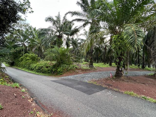 Tanah lot rumah kg jabi segamat johor 1