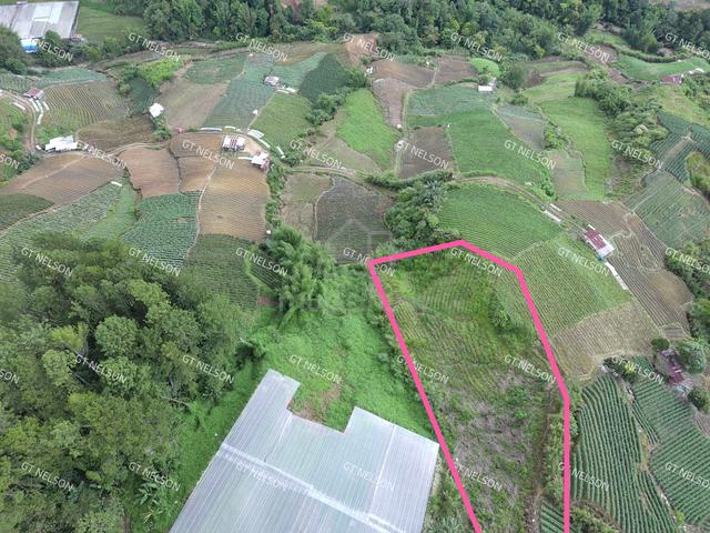 kundasang 0.8acre for sale 200k 3