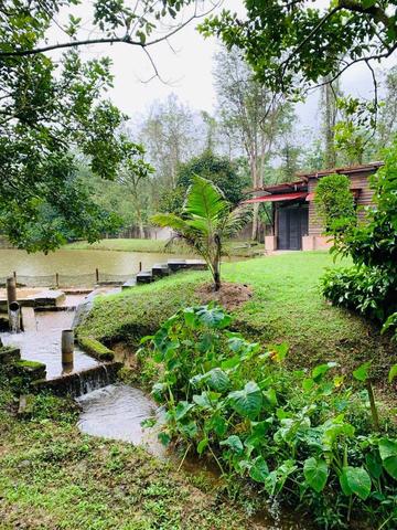 MURAH CANTIK BESAR - Tanah Pertanian Freehold Ulu Yam Bharu Serendah 1