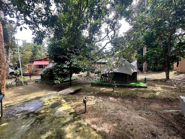 Freehold! Glamping for sale kuala kubu bharu 1