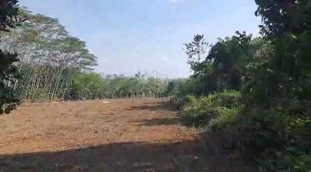Tanah Untuk Disewa 2