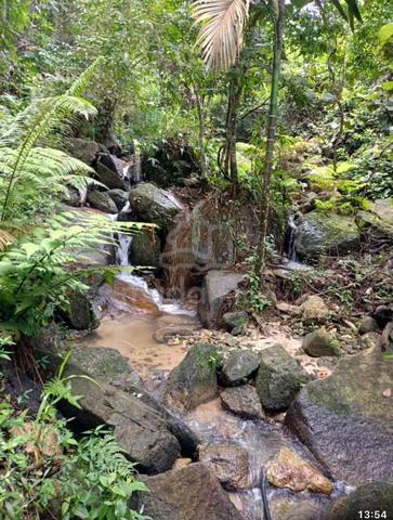 LOKASI STRATEGIK🤩DUSUN & AIR TERJUN✅Tanah Kg Relau, Bndr Baharu 1