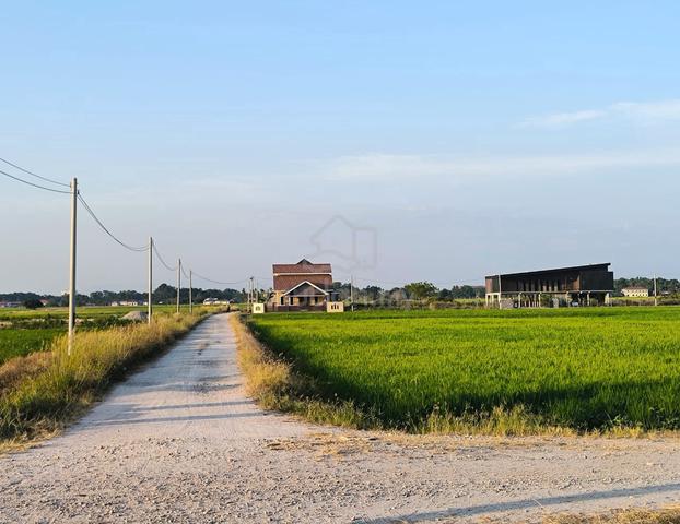 Penang Permatang Pauh Residential Freehold Land For Sale 1
