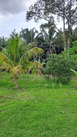 TANAH PERTANIAN FREEHOLD | Ulu Beranang, Lenggeng, Negeri Sembilan 1