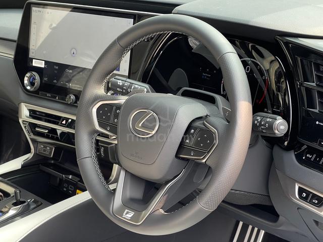 [20KM ONLY] 2025 Lexus RX350 F SPORT MARK LEVINSON - 5