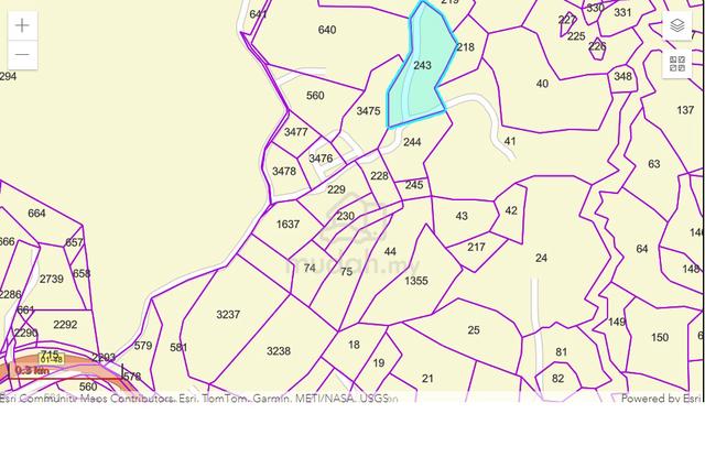 Land for Sale 1