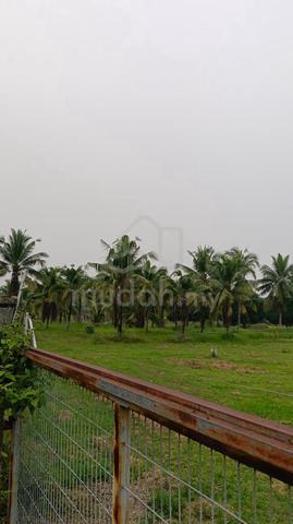 Kebun durian ☘️dan Tanah Untuk di Pekan Pahang 1