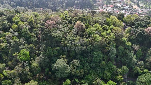 Exclusive Hilltop Land Sungai Penchala 1