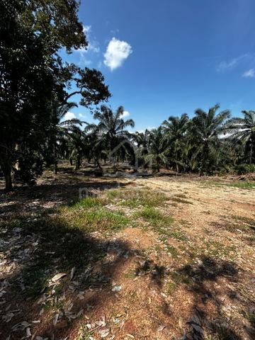 7.6 Acre Freehold Land For Investmnt & Developmnt, Jeram Batu Pontian 1