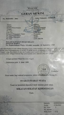 Tanah Pertanian Temerloh Untuk Di jual !! 1