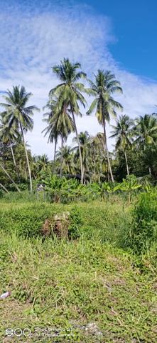 Vacant Land in Telok Gong, Pandamaran, Port Klang 1