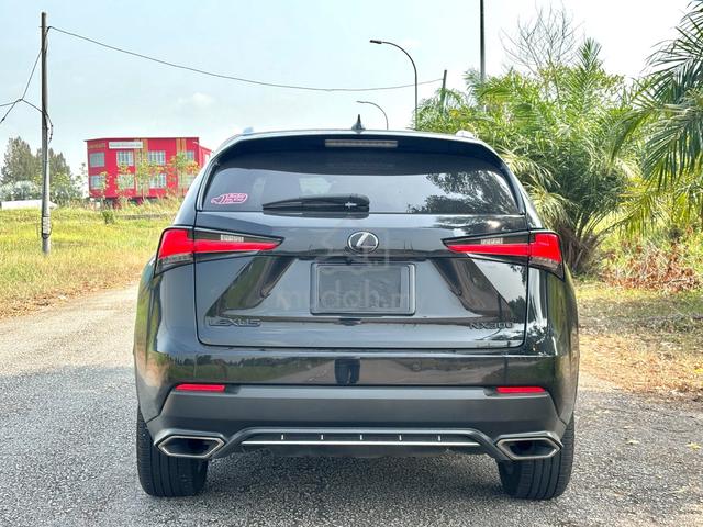 2018 Lexus NX300 2.0 F SPORT (A) - 5
