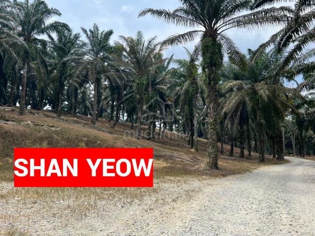 7.83 Acre Jalan Gajah Mati Tasek Bukit The For Sale 1