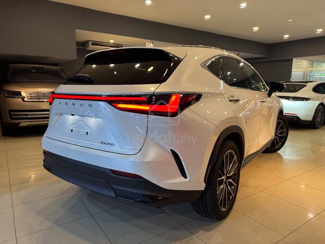 2023 Lexus NX250 2.5 Version L Unreg 5A full spec - 4