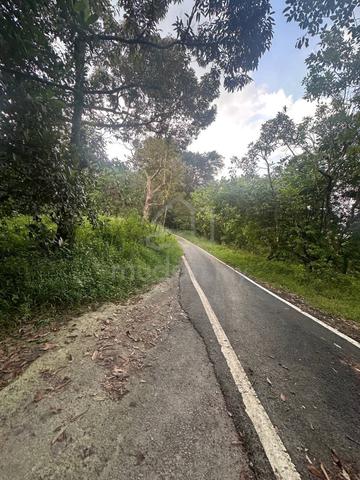 Tanah 1.6 Ekar belakang Resort Bonda rozita 1