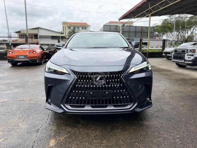 2022 Lexus NX 250 2.5 LUXURY (A) - 1