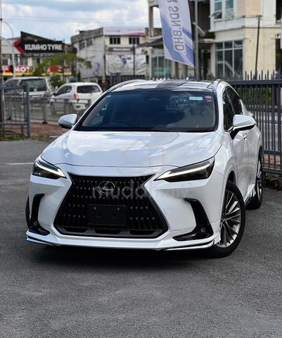 2023 Lexus NX 250 2.5 Ver. L Modellista kits (A) - 1