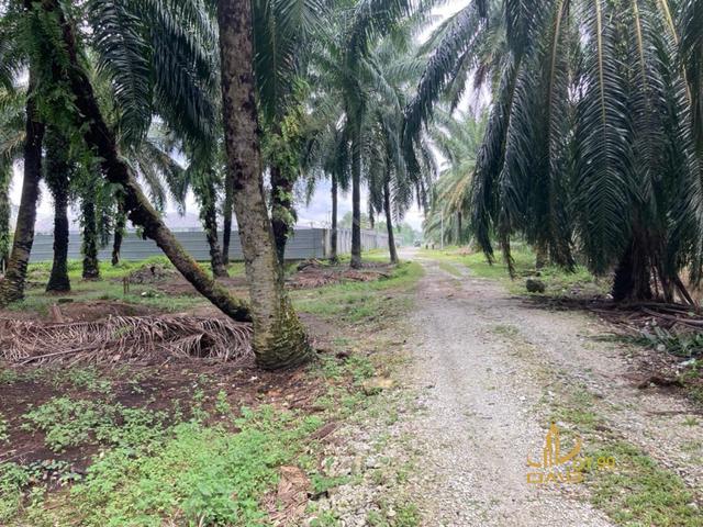 Jln Kampung Jenjarom Agriculture land Zone Industrial land Freehold 1